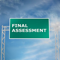 Final Assessment Icon